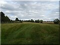 Grazing, Kibworth Harcourt