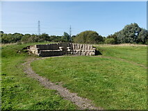 SK5702 : Stone "throne" in Aylestone Meadows Nature Reserve, Leicester by Ruth Sharville