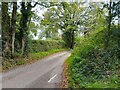 Home Farm Lane, Faccombe