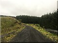 Gravel road near Craigshiel