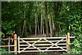 Gate to the woods