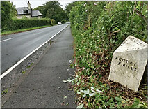 SD4982 : Old Milepost by the A6, St Anthony's, north of Milnthorpe by Hilary Jones