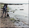 NO4202 : Beach-combing at Lower Largo by Alan Reid