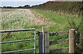 SR9596 : Grass bridleway by edge of field by M J Roscoe