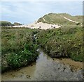 Stream flowing to Holywell Beach - looking downstream