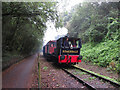 Avon Valley Railway north of Bitton station