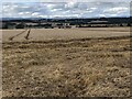 Spring barley harvest, Cultmalundie