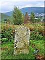 Old Boundary Marker on Craig-Evan-Leyshon Common