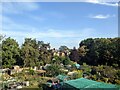 Allotments alongside the railway