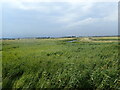 TR0367 : View from the bird hide at The Swale National Nature Reserve by Marathon