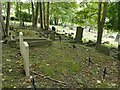 SE2235 : War graves in Rehoboth burial ground by Stephen Craven