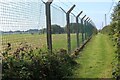 Path by Merrion Camp fence