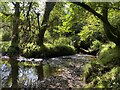 Bishopston Brook