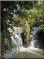 Waterfalls in Valley Wood, Penllergaer.