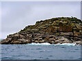 SV9413 : Eastern Isles, Arthur Head by David Dixon