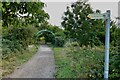 Green Wheel footpath and arch