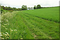 Bridleway to White Lackington