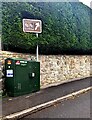 Dark green cabinet, Derwen Deg, Govilon, Monmouthshire