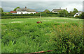 Banks Cottages, Piddletrenthide