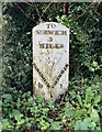 Old Milepost by the A1067, Fakenham Road, Taverham