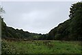 Footpath in the Valley of Black Brook