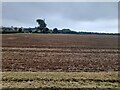 Ploughed field in Hellidon