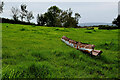 Rusty feeding trough, Dunmullan