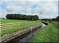 Hallington Reservoir Watercourse