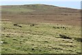 SN0733 : View across moorland towards Waun Maes by M J Roscoe
