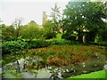 Pond at Prudhoe Castle