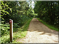 Footpath Binstead 51/3 in Alice Holt Forest