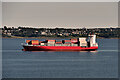 J4786 : Container Ship in Belfast Lough by David Dixon