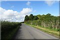 Road in Newton Dale