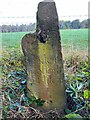 Milestone - Rudding Lane - Harrogate (2)