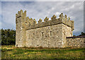 S8809 : Castles of Leinster: Coolhull, Wexford (1) by Mike Searle