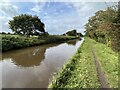 SJ5446 : Llangollen canal by John H Darch