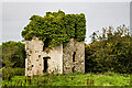 S8717 : Castles of Leinster: Slevoy, Wexford (1) by Mike Searle