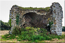 S8819 : Castles of Leinster: Tracystown, Wexford (3) by Mike Searle