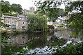 The River Nidd, Knaresborough