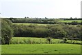 Fields behind cafe at lay-by, Pope Hill