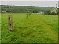 Old fence posts at Binn Royd, Norland