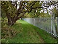 Metal fence alongside railway