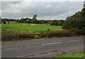 View over Lochview Road