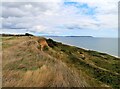 Looking along Barton Cliff