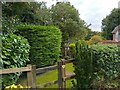 Footpath to the spring in Frilsham