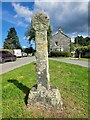 Old Wayside Cross in Trequite