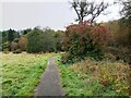 Path alongside Luggie Water