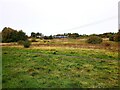 Open area near Luggie Water