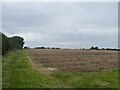 Lambwath Meadows