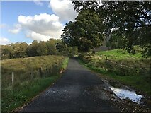 NN5922 : South Loch Earn road by Steven Brown